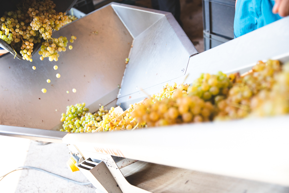 Weine mit wenig Säure Wissenswertes und Tipps für deinen Weineinkauf