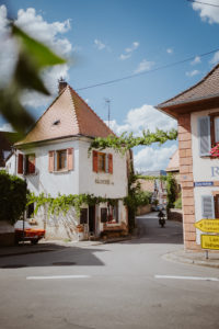 Tipps für deinen Urlaub in der Pfalz an der deutschen Weinstrasse