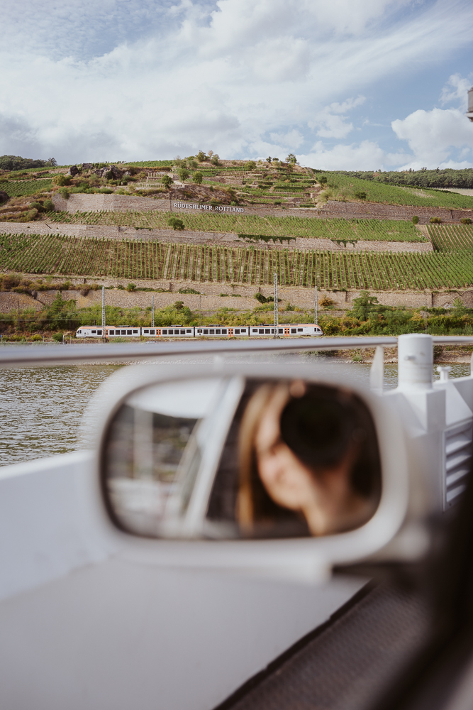 Blick auf die Germania im Weinanbaugebiet Rheingau