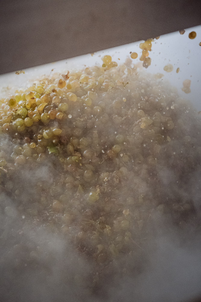 Was ist Orange Wine? Alles zu Herstellung und Geschmack!