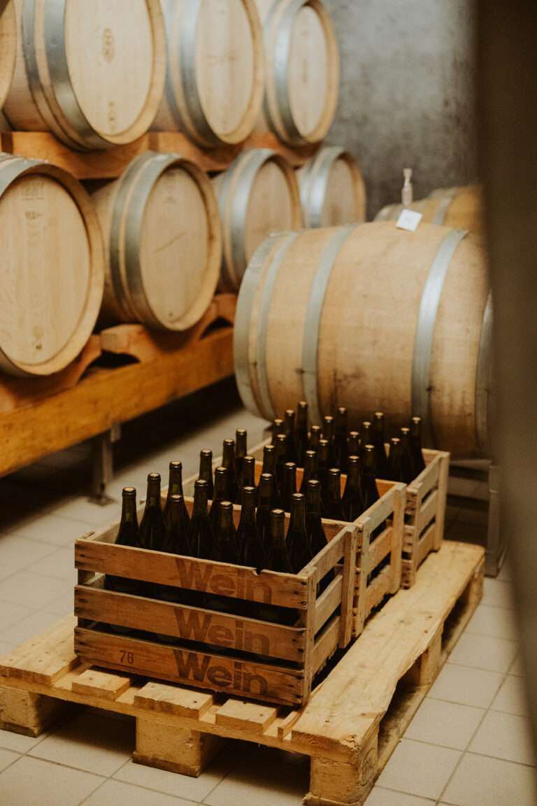 RiberadelDuero-weinberge