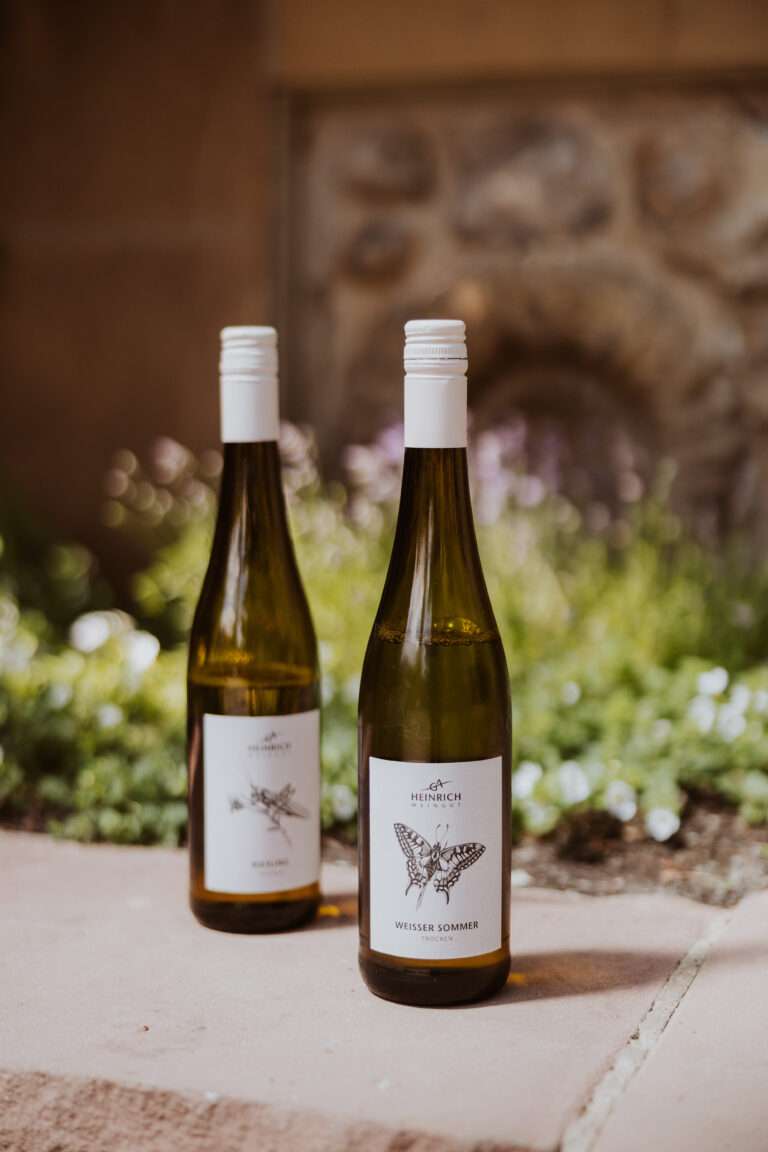 RiberadelDuero-weinberge