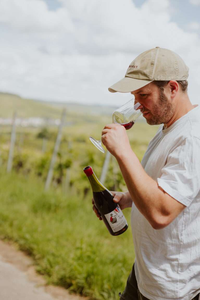 RiberadelDuero-weinberge
