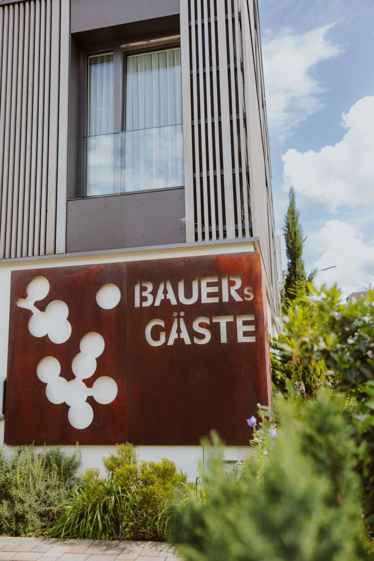 RiberadelDuero-weinberge