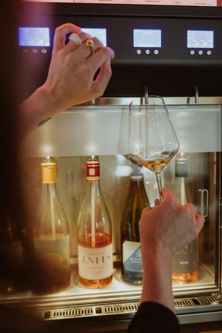 RiberadelDuero-weinberge