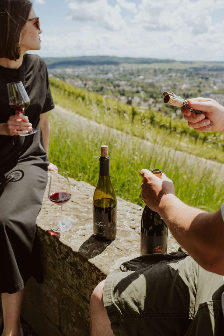 RiberadelDuero-weinberge
