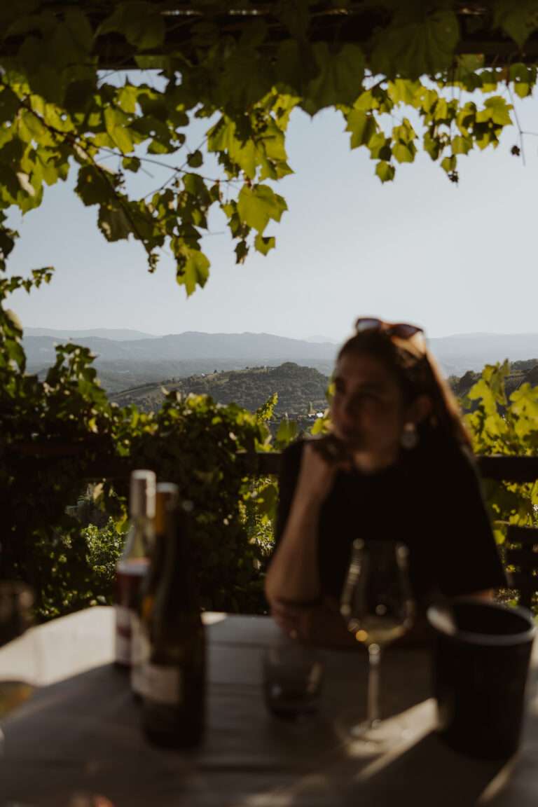 bringflavorhome-Südsteiermark20250189 (1)