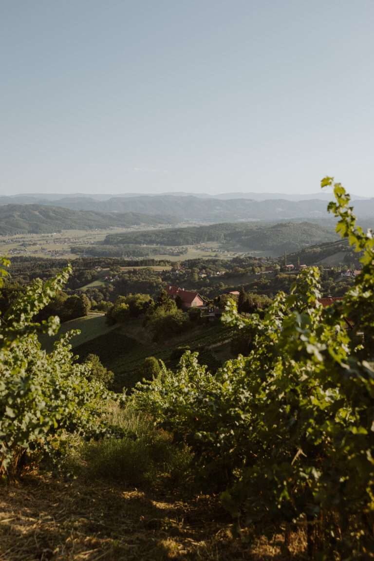 bringflavorhome-Südsteiermark20250198 (2)