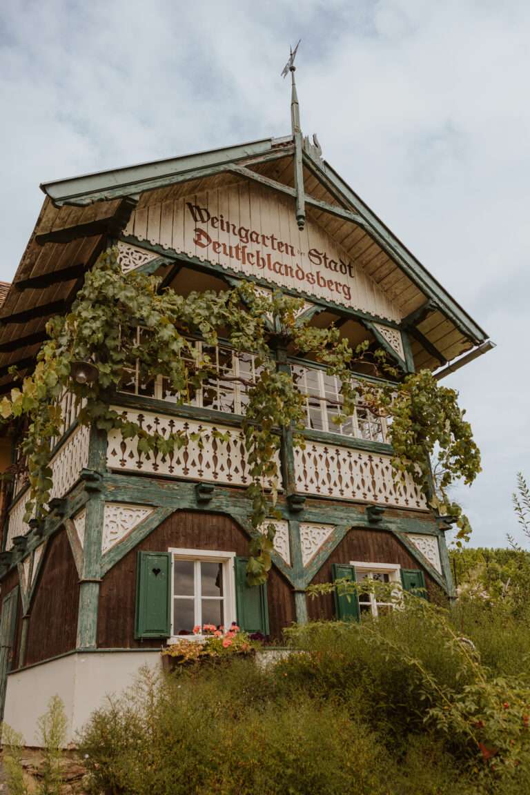 bringflavorhome-Südsteiermark20250525