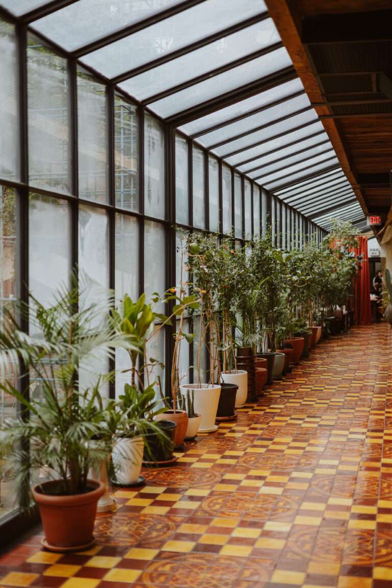 bringflavorhome-Georgien1-0008