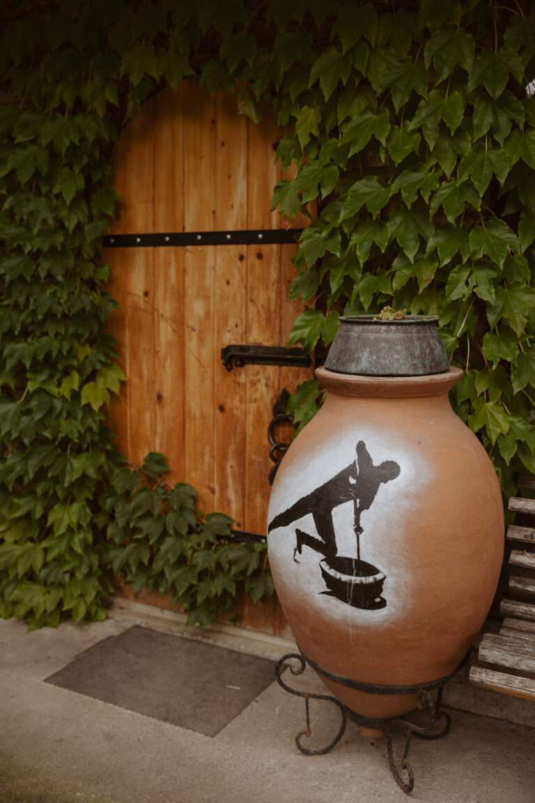 bringflavorhome-Georgien3-0022