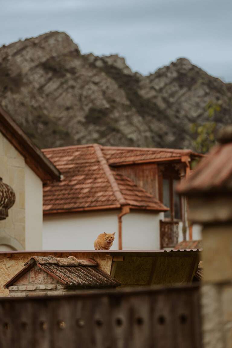 bringflavorhome-Georgien3-0028