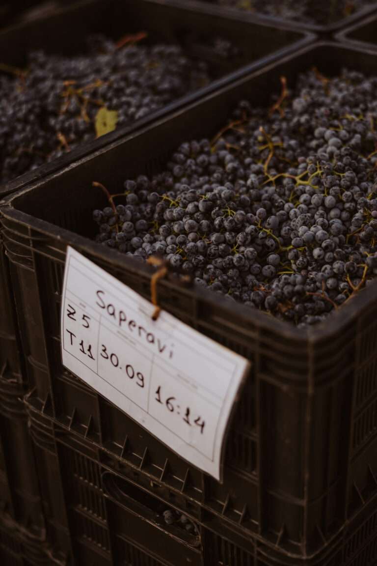 bringflavorhome-Georgien3-0058 (2)