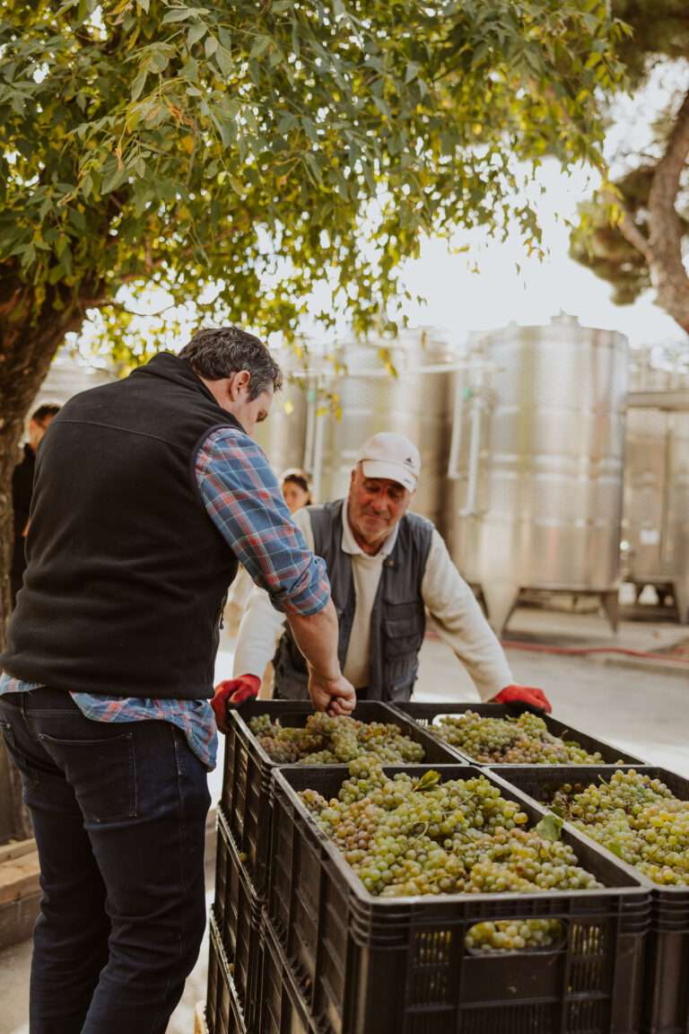 bringflavorhome-Georgien3-0079 (1)