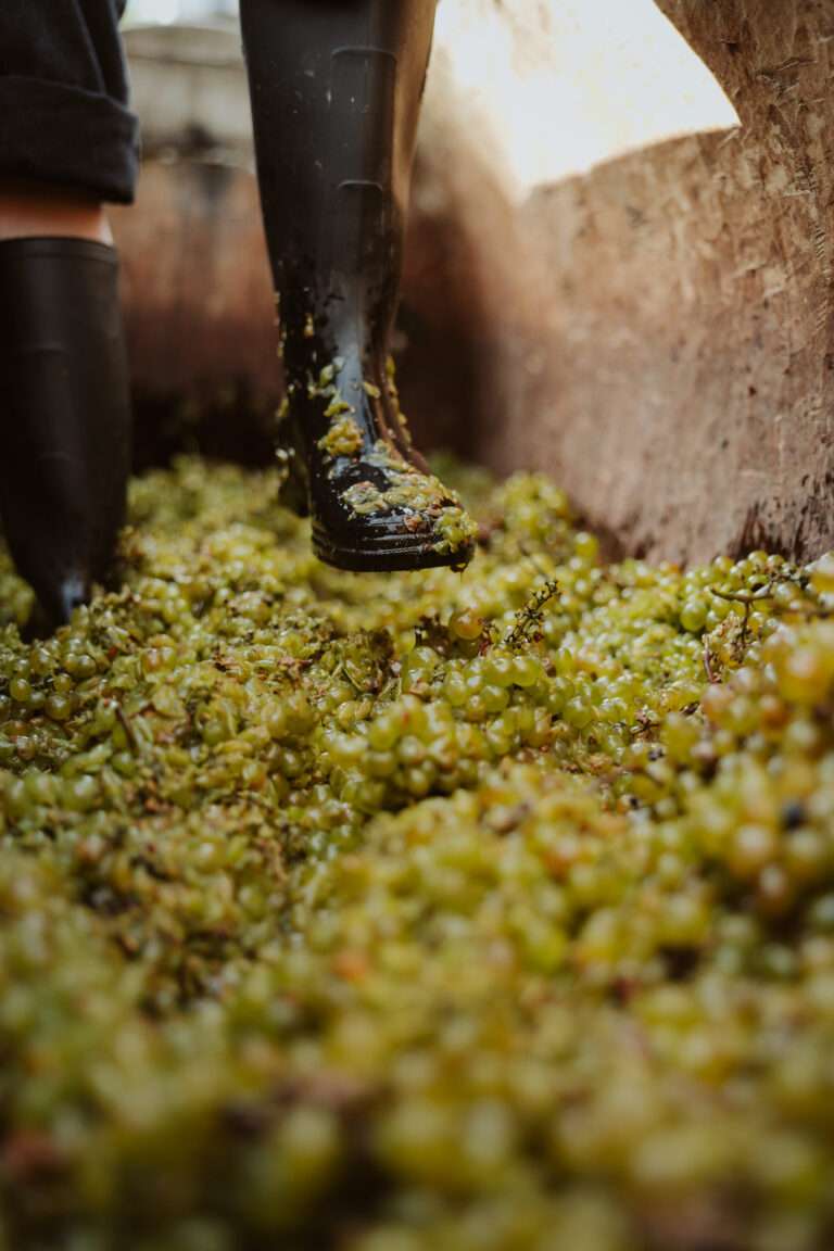 bringflavorhome-Georgien3-0106