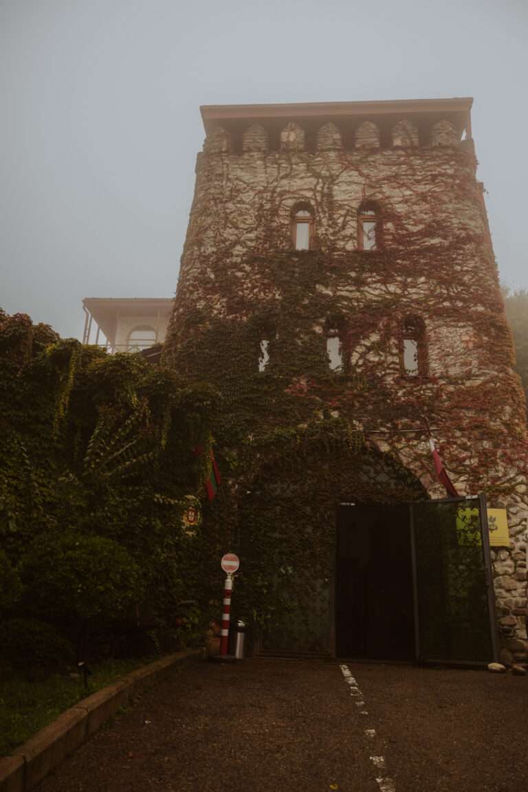 bringflavorhome-Georgien3-0171