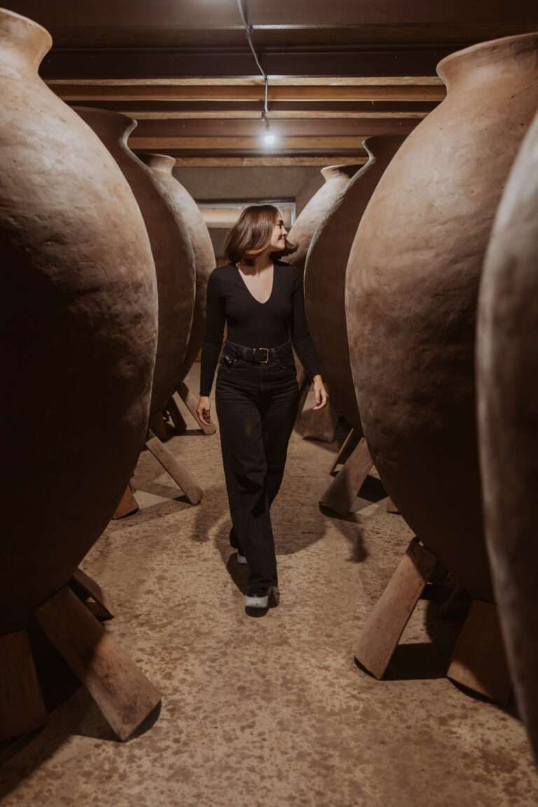 bringflavorhome-Georgien3-0188 (1)