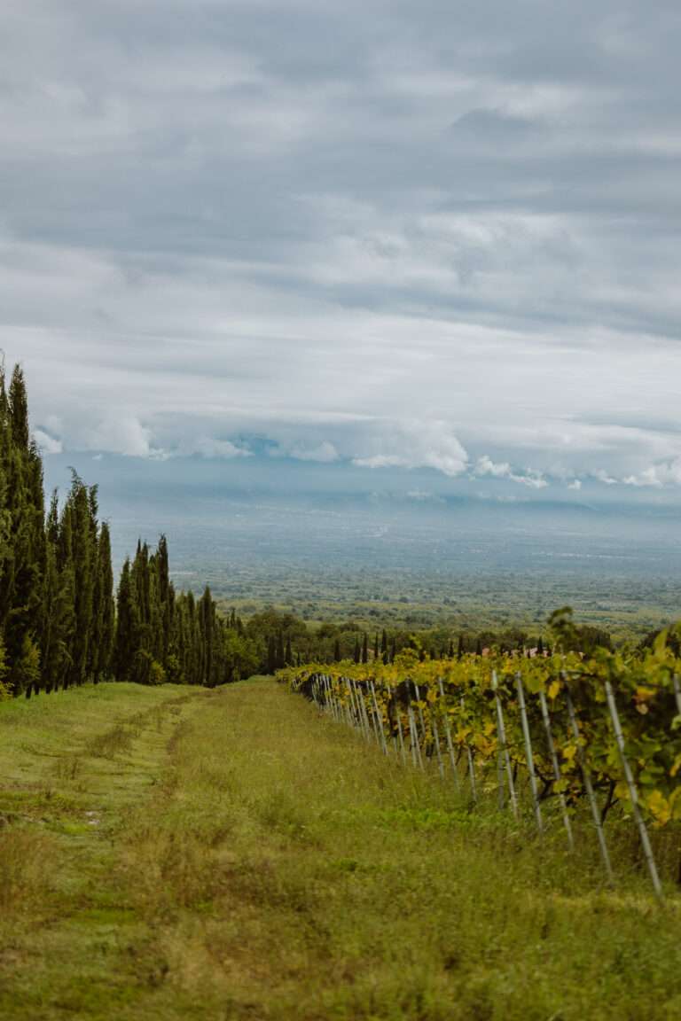 bringflavorhome-Georgien3-0239 (1)