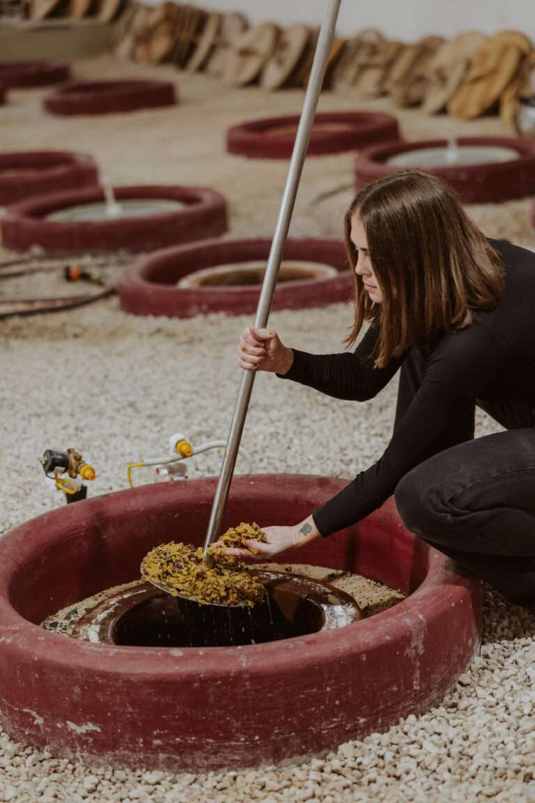 bringflavorhome-Georgien3-0320 (1)