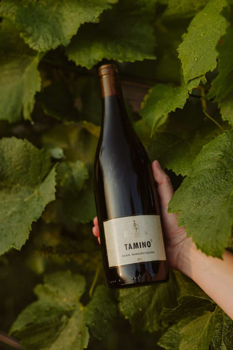 bringflavorhome-Piwi20250072