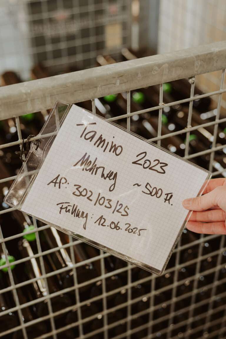 bringflavorhome-Piwi20250094 (1)