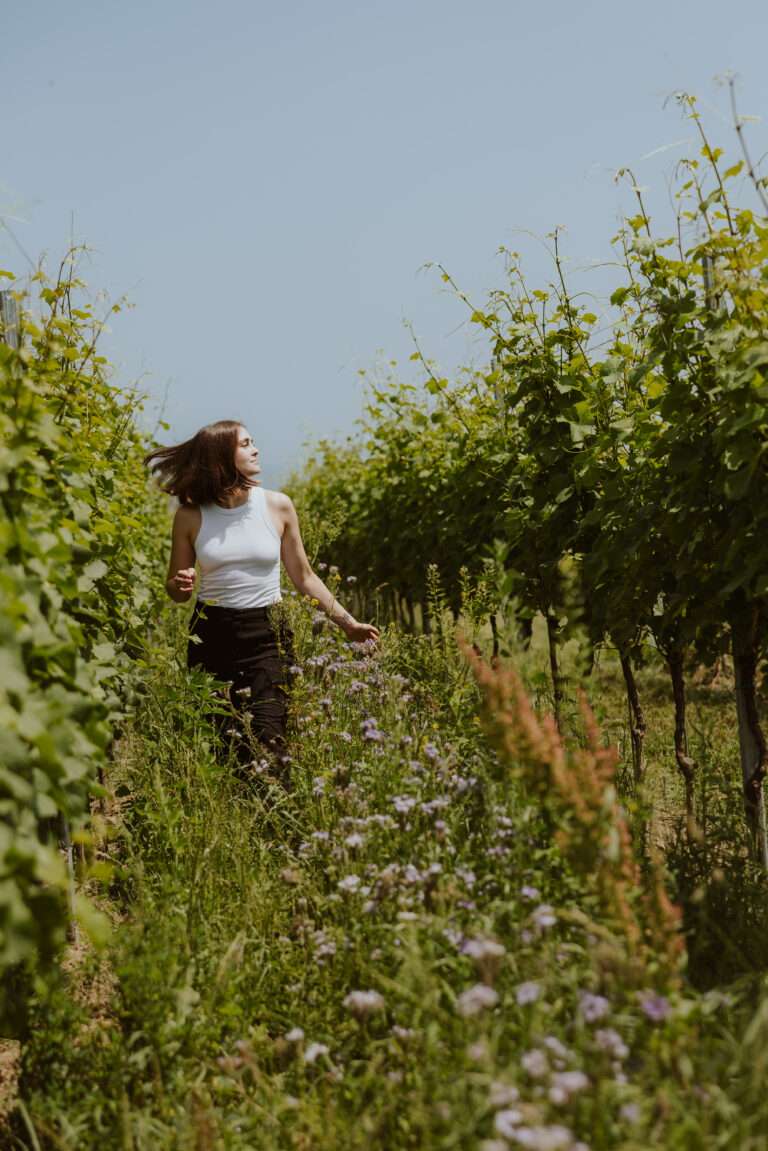 bringflavorhome-Piwi20250203 (1)