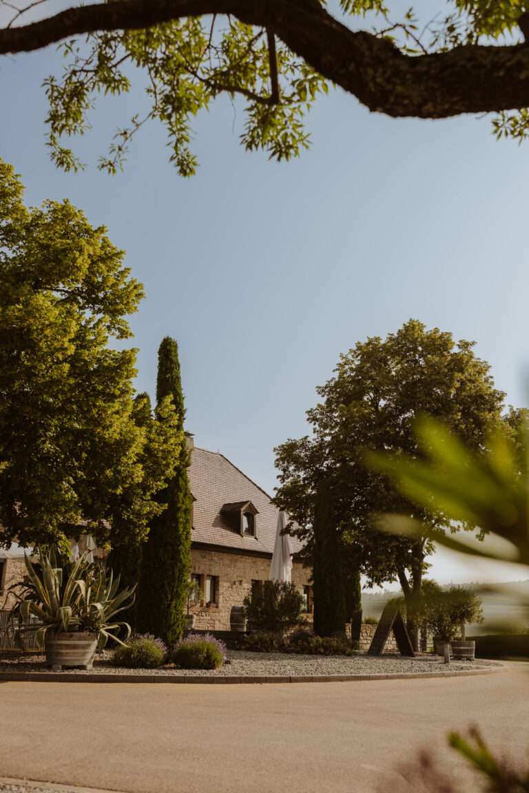 bringflavorhome-Tamino20250089