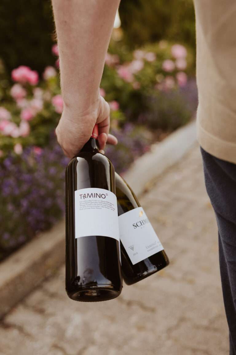 bringflavorhome-Tamino20250091